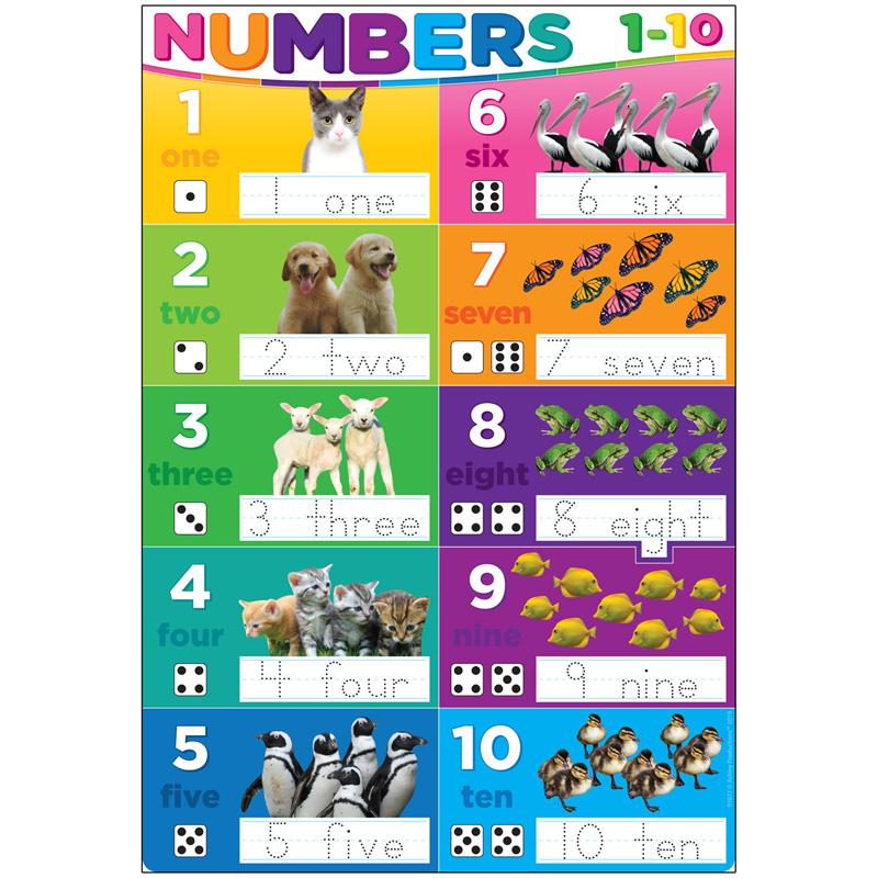 Smart Poly® Chart Numbers 1-10, 13