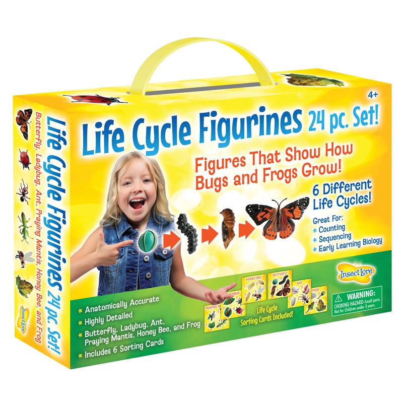  Life Cycle Figurines 24pc.Set