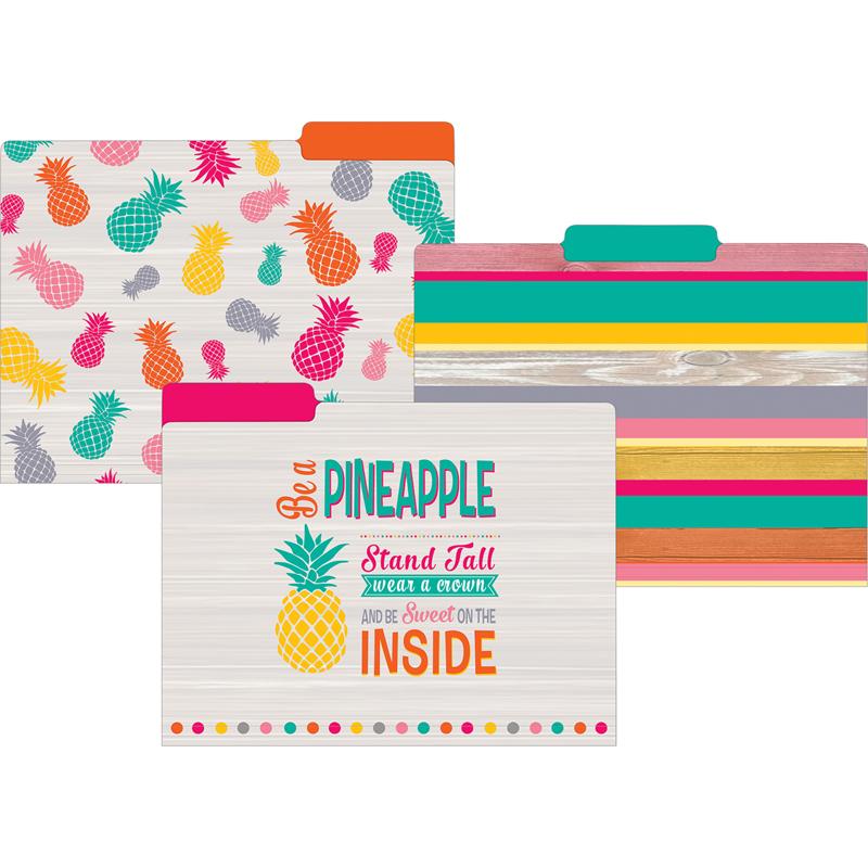 Tropical Punch File Folders, Letter Size, Pack of 12