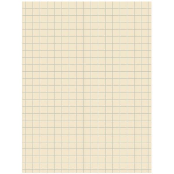 Pacon Ruled Drawing Paper - 500 Sheets - 0.50