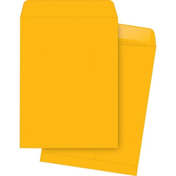 Business Source Kraft Gummed Catalog Envelopes - Catalog - #13 1/2 - 10