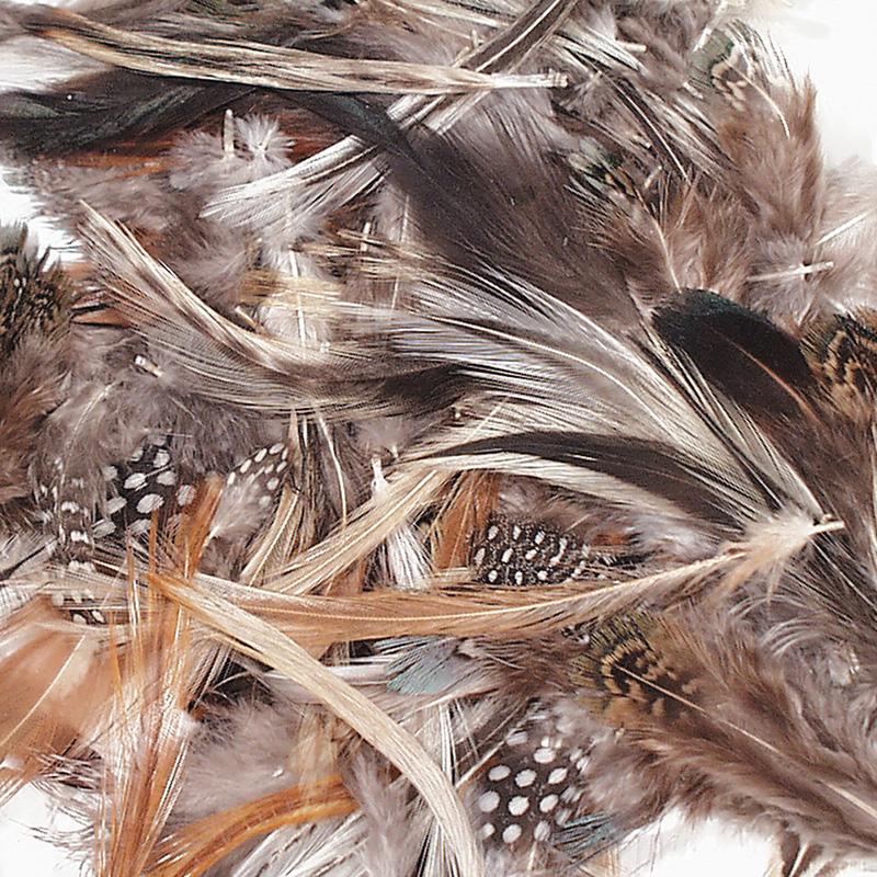 Creativity Street Natural Feathers - Craft - Recommended For - 1 Pack - Natural