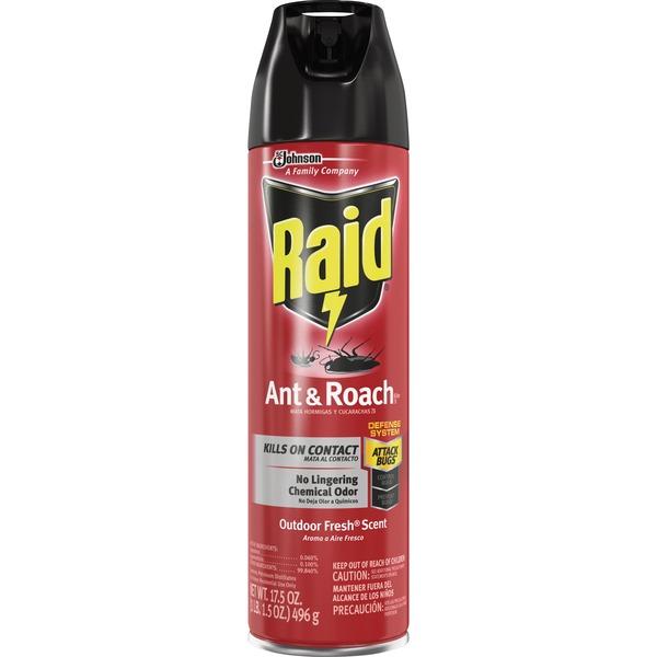 Raid Ant/Roach Killer Spray - Spray - Kills Ants, Cockroaches, Waterbug, Palmetto Bug, Silverfish, Carpet Beetle, Crickets, Earwig, Spider, Lady Beetle, Stink Bug, ... - 17.50 fl oz - Clear - 1 Each