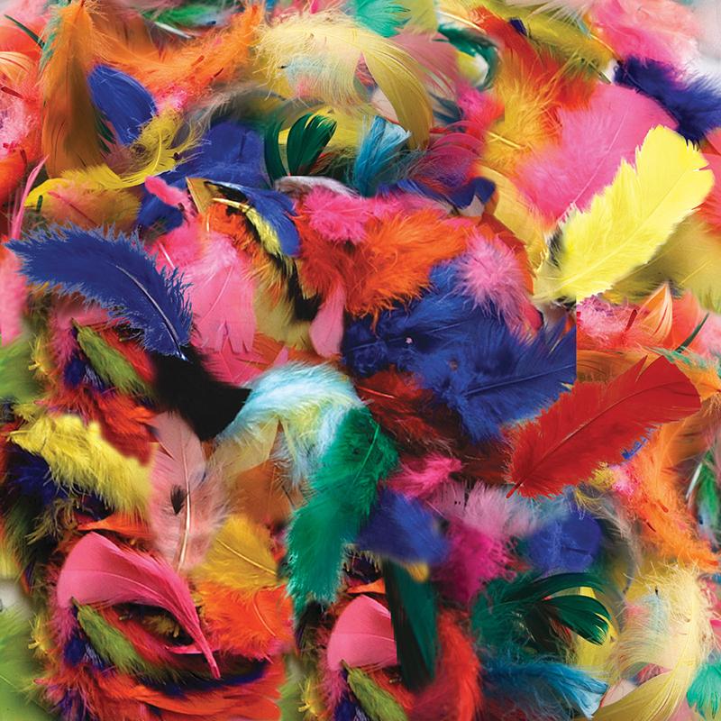Turkey Plumage Feathers, Hot Colors Assorted, Assorted Sizes, 14 grams