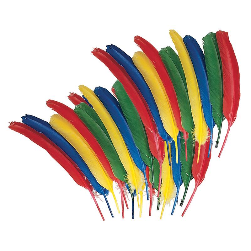  Quill Feathers, Assorted Colors, 12 