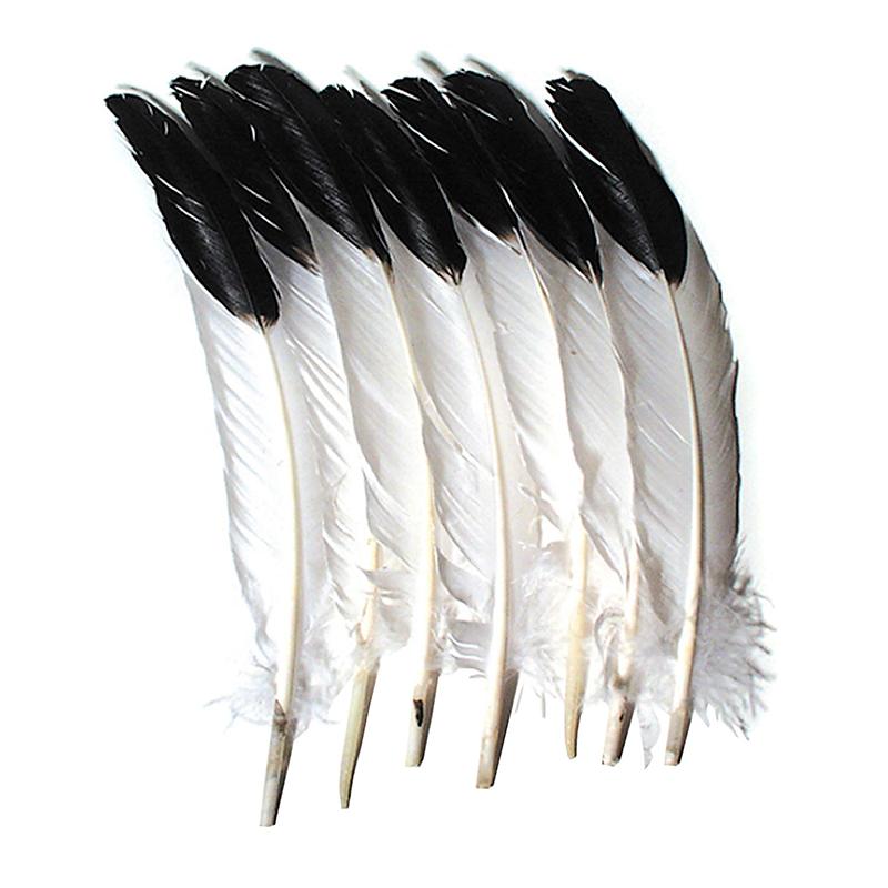 Imitation Eagle Feathers, White & Black, 11