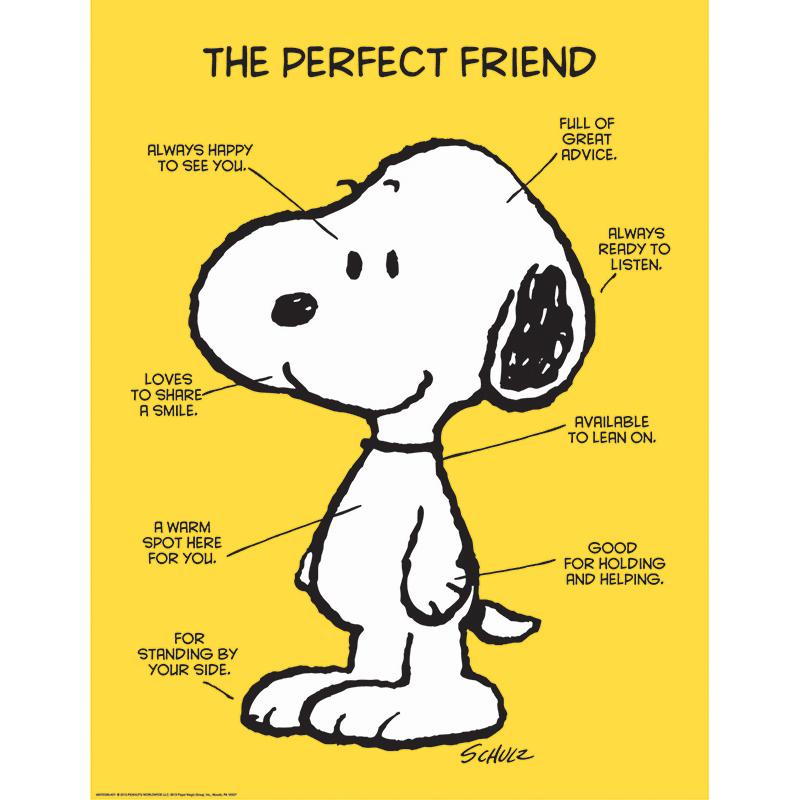 Peanuts® The Perfect Friend 17