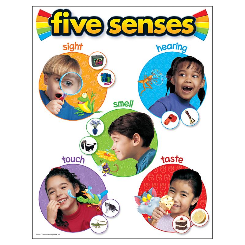 Five Senses Learning Chart, 17