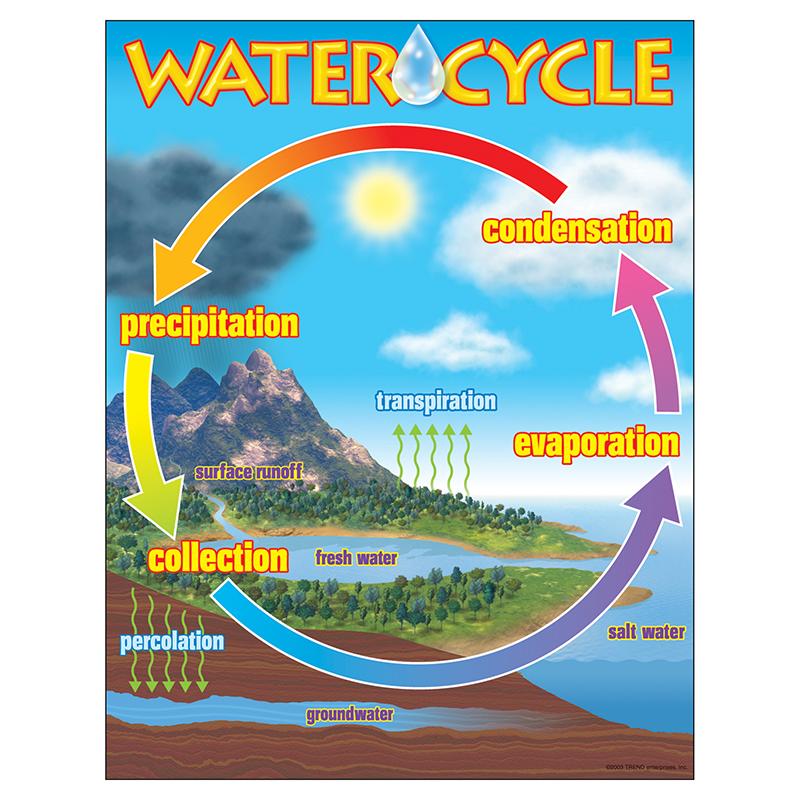 The Water Cycle Learning Chart, 17
