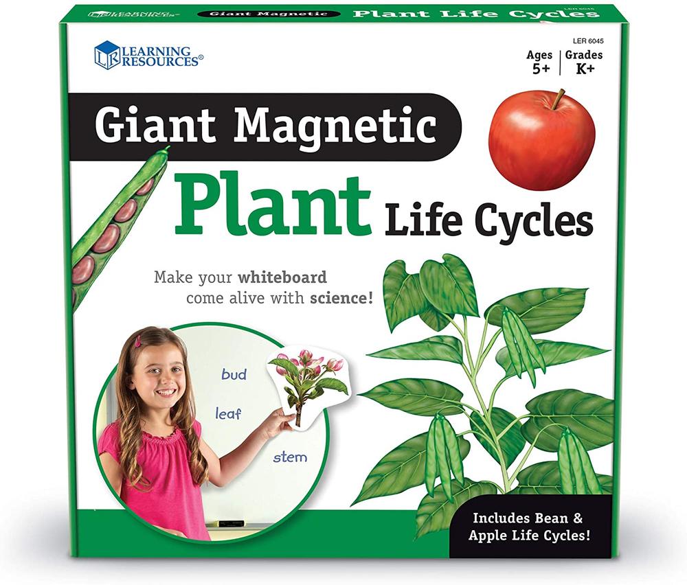 Giant Magnetic Plant Life Cycle