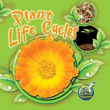 Plant Life Cycles Gr 1-2