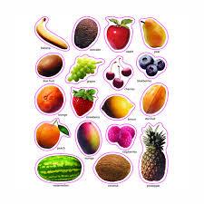  Fruit : Photographic Shape Stickers  D