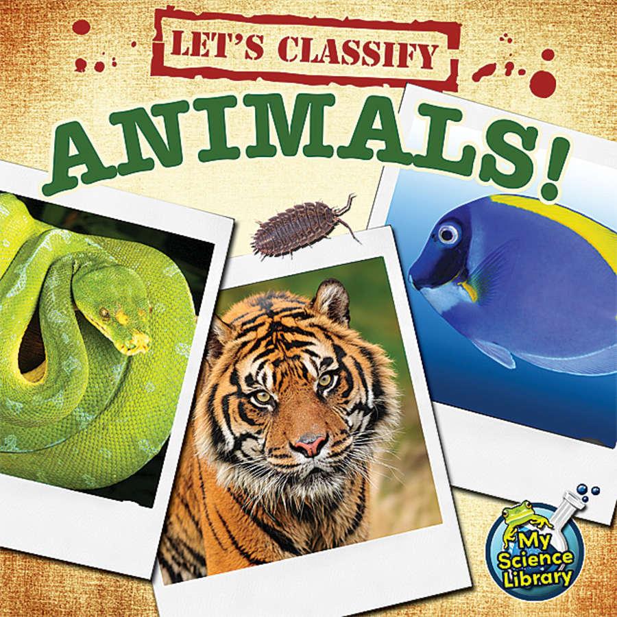 Let`s Classify Animals