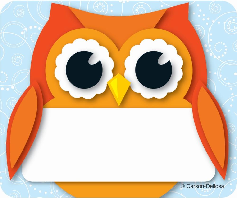 Colorful Owls Name Tags 40pk Discontinued