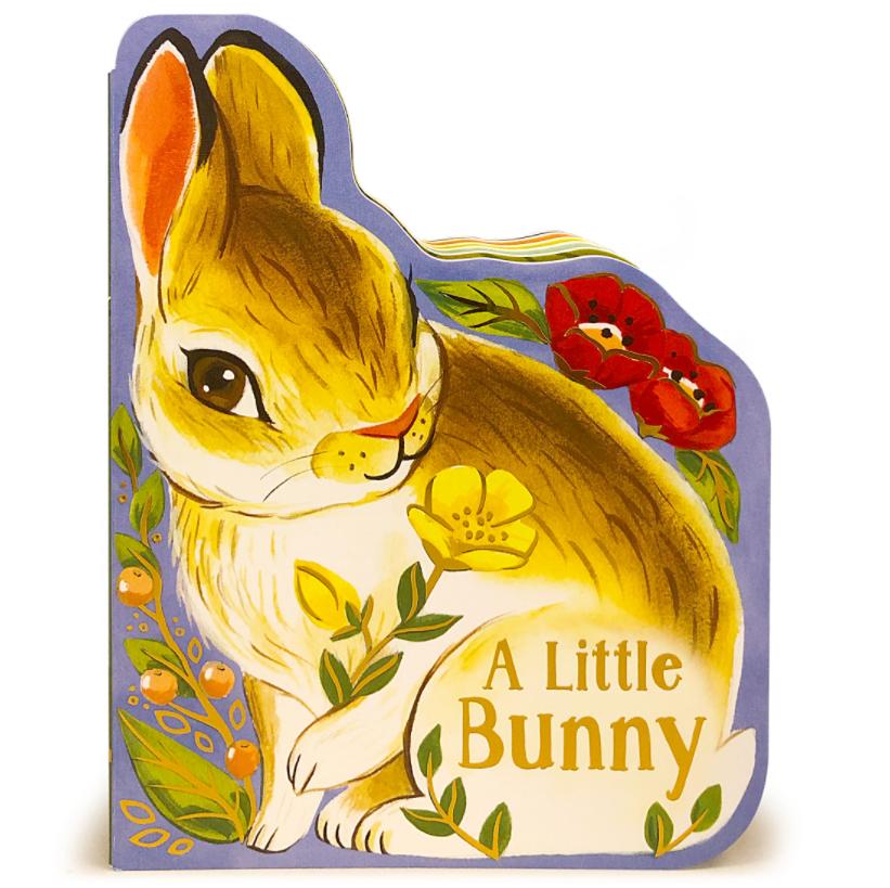 A Little Bunny Board Book, 1 Each