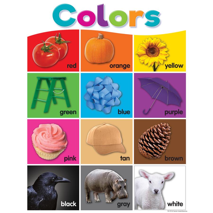 Colorful Colors Chart,  17