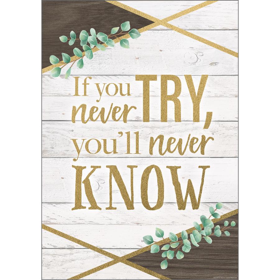  If You Never Try, You ’ Ll Never Know Poster