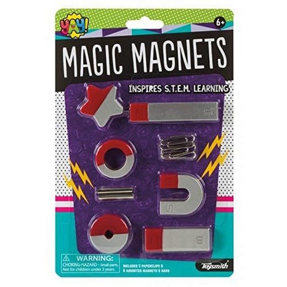 Magic Magnets - Includes 5 Paperclips & Assorted Magnets & Bars