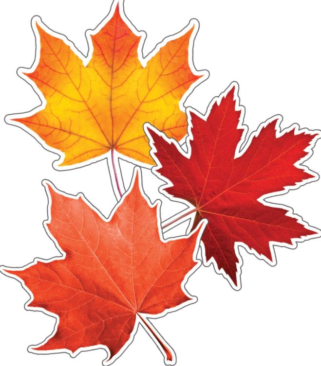 Woodland Whimsy Fall Leaves Cut Outs