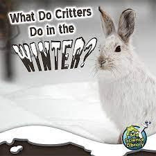 What Do Critters Do In The Winter? Gr.2-3