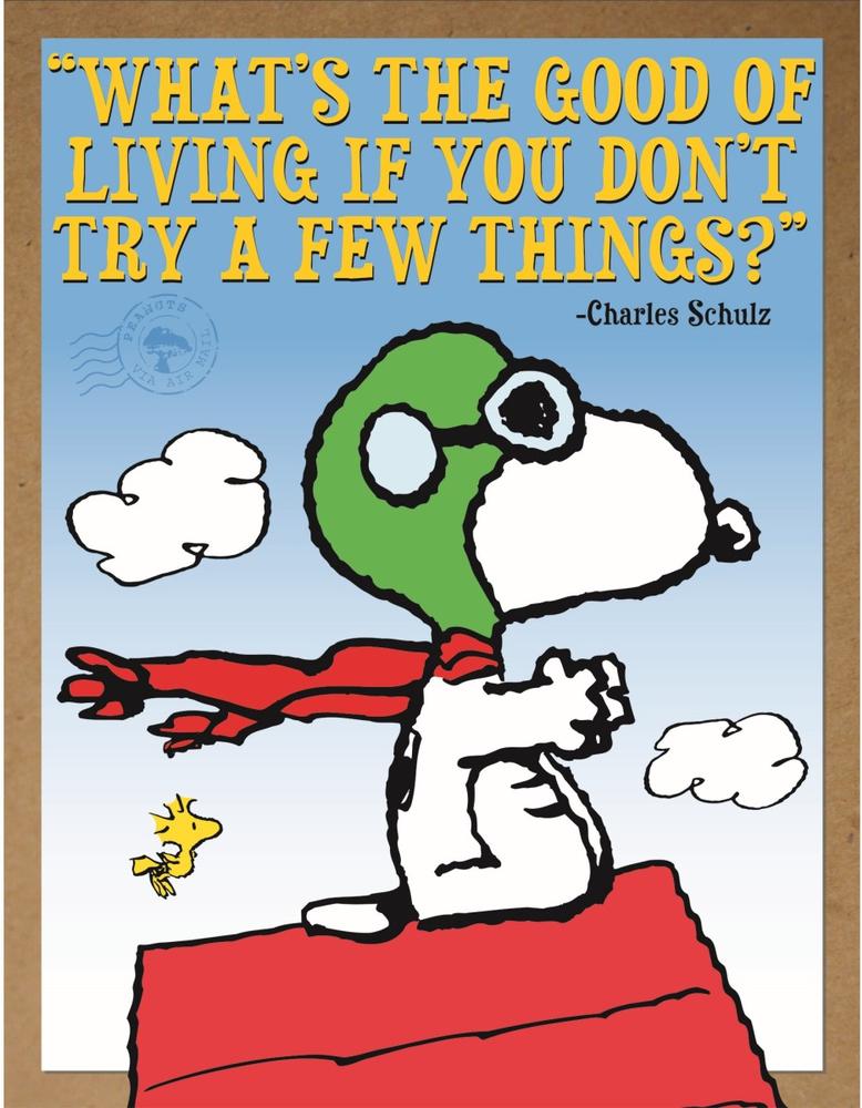 Peanuts Flying Ace Poster