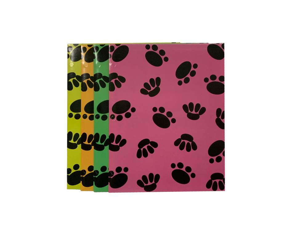 Novelty Folder Assorted Paw Print Covers 48/Box