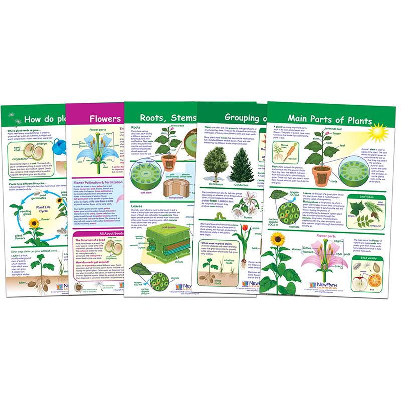 All About Plants Set Of 5  Bb Set