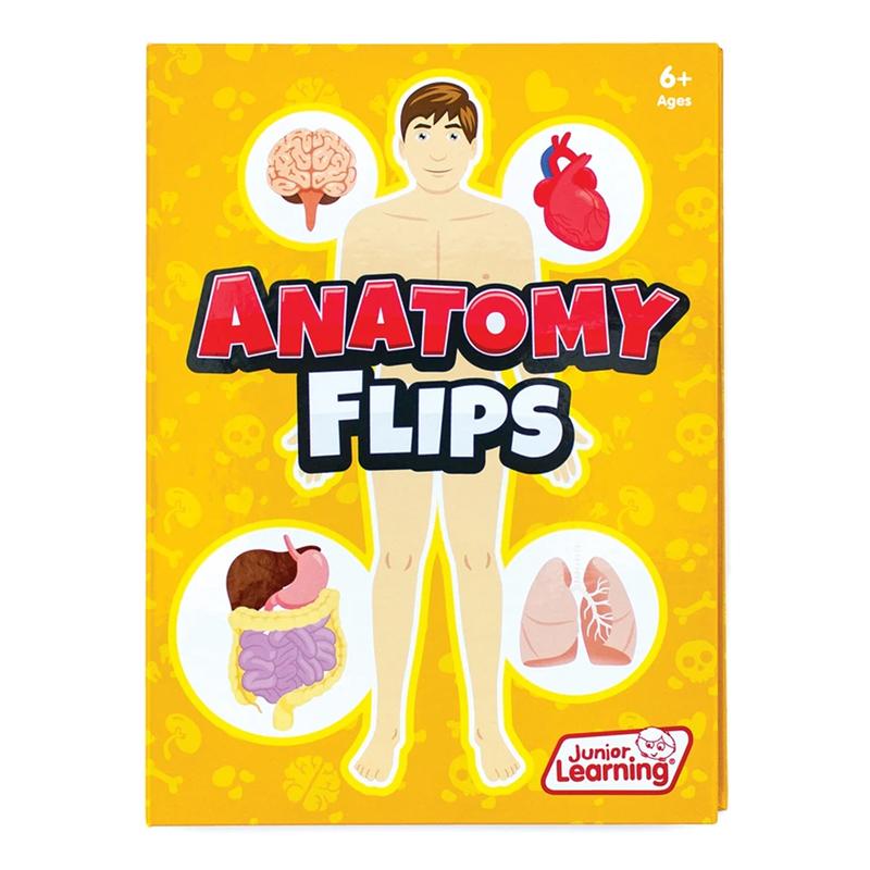 Anatomy Flips             D