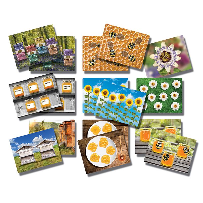 Honey Bee Early Number Cards, Includes 16 Cards