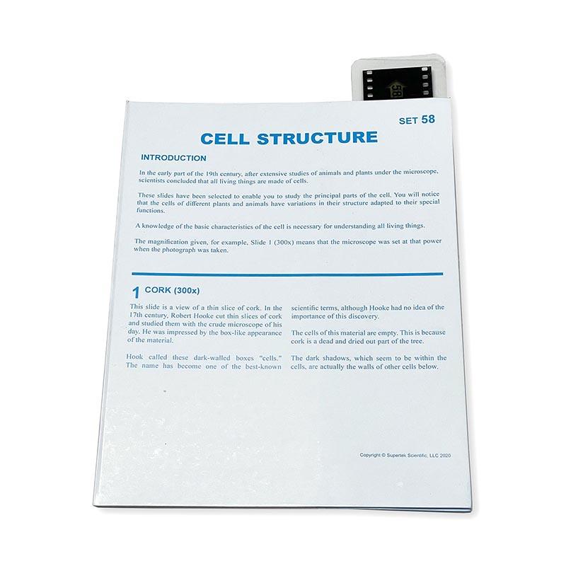 Microslide Cell Structure