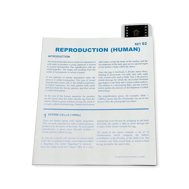 Microslide Human Reproduction